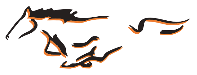 Meadowbrook Colts