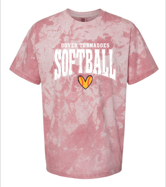 ADULT Comfort Color Tee