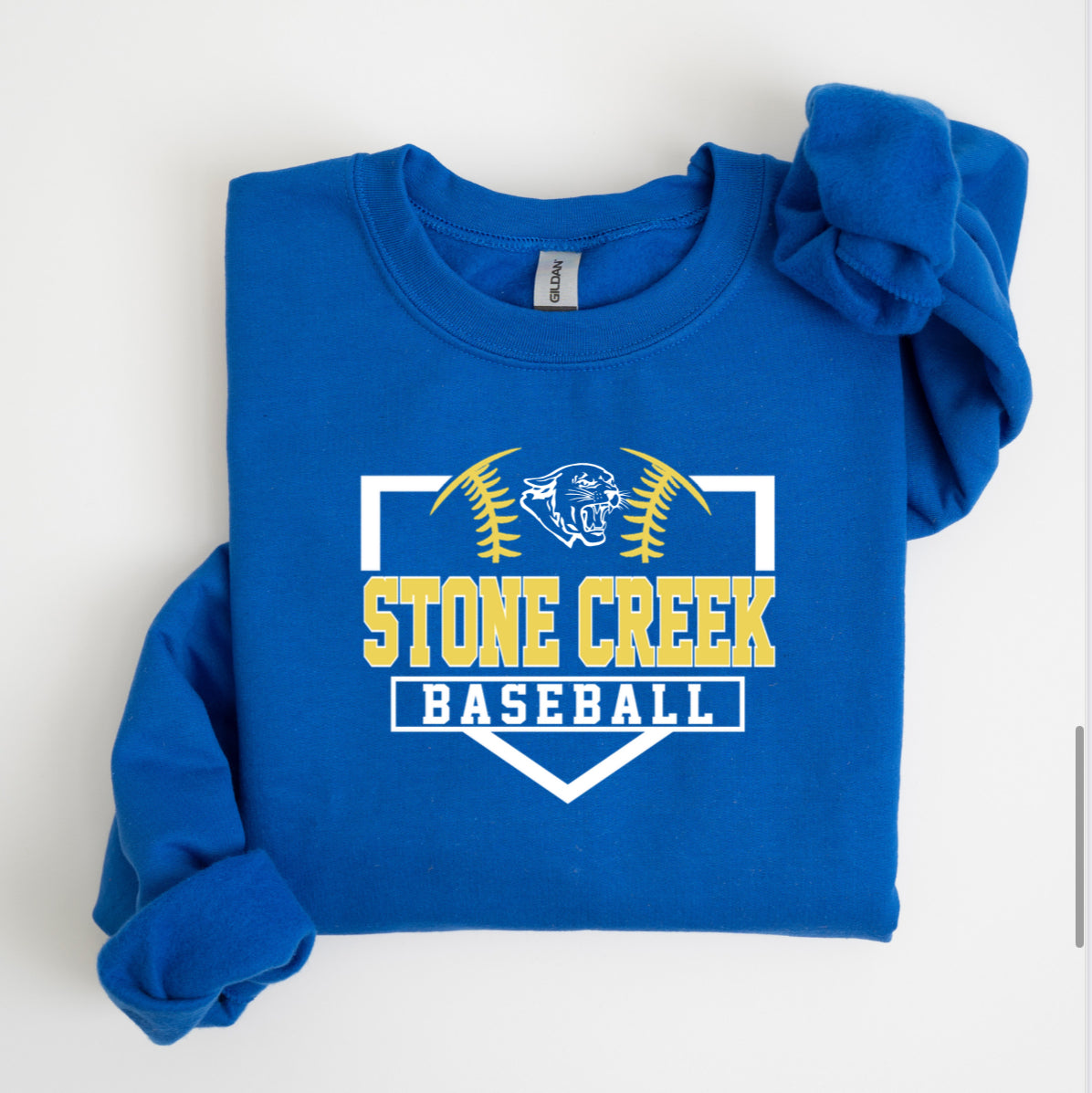 Panthers Baseball Hoodie/Crewneck/Tee